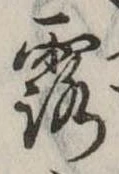 露 위치 확인됨