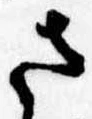 已定位さ
