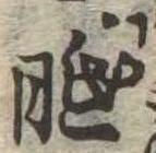 胝 위치 확인됨