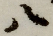 글자 八