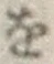 文字 を