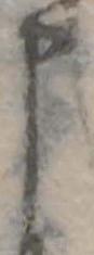 申 위치 확인됨