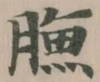 䐳の位置