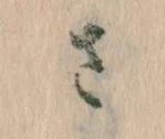 已定位𛀿