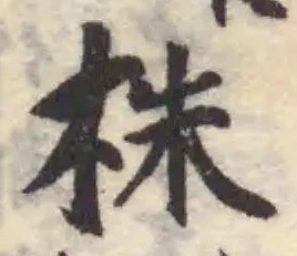 株の位置
