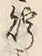 Character 貯