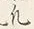 Character 凡