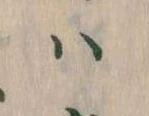 𛂞 위치 확인됨
