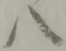 글자 八