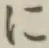 文字に