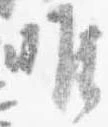 唯の位置