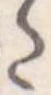 Đã định vị 𛁠