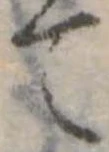 て 위치 확인됨