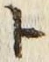 「ト」字