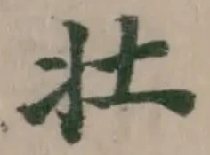 壮の位置