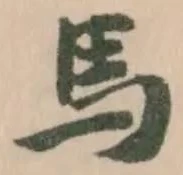 馬 위치 확인됨