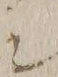 “シ”字