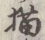 位置 確認된 猫
