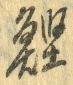 Located 鰹