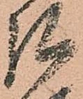 已定位弘