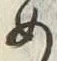 「め」字