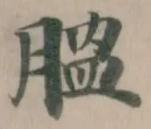 膃 위치 확인됨