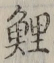 字鯉