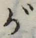 が 위치 확인됨