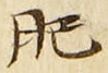 文字肥