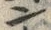 “ハ”字