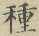 글자 種