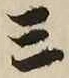 Character 三
