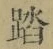 文字踏