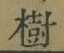 글자 樹