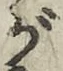 글자 が