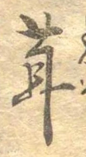茸 위치 확인됨