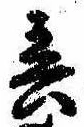 春 위치 확인됨