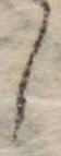 𛁅 위치 확인됨