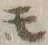 字モ