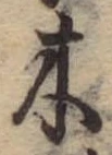 位置 確認된 木