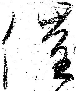 催の位置