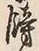 字餝