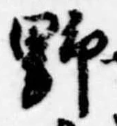 已定位野