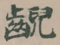 齯の位置