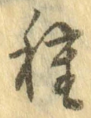 已定位種