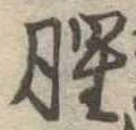 Located 腥