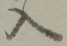 字入