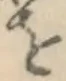 글자 を