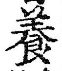 Chữ 養