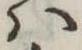 𛂞の位置